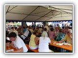 Bratwurstfest 2016 (14)